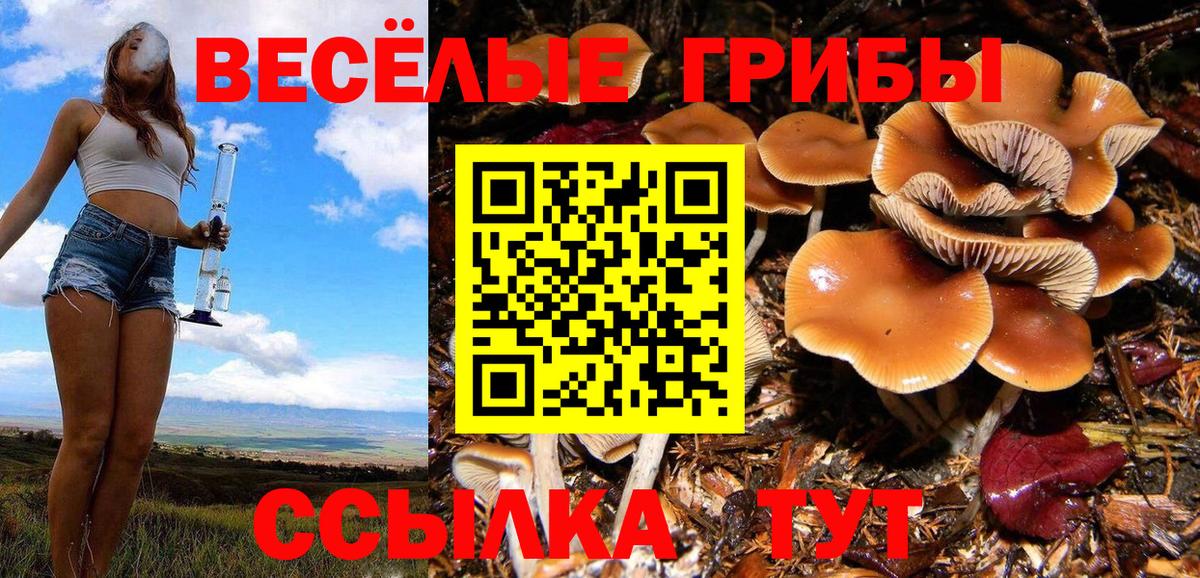 Псилоцибиновые грибы ЛСД Котовск